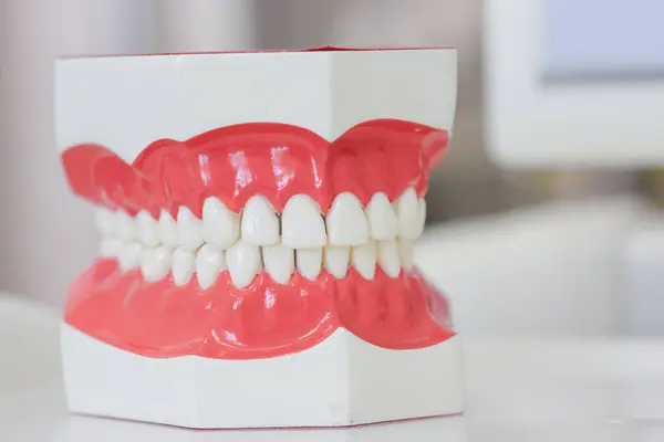 Dentures in Virginia Beach: What Quality of Life Improvements Can You Realistically Expect?